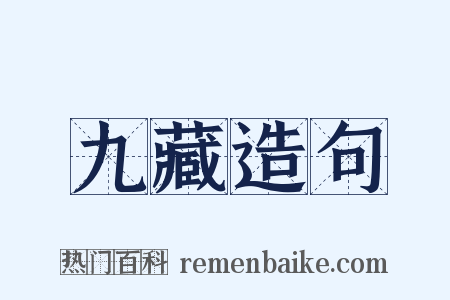 九藏造句是什么意思的图片